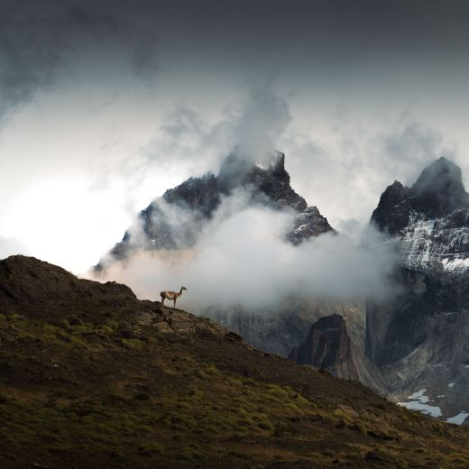 Patagonia 5