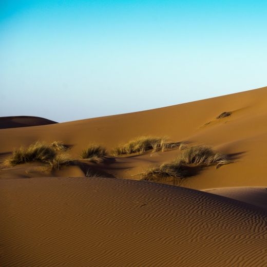 Dunes of Sahara